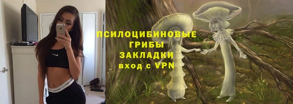 дурь Горно-Алтайск