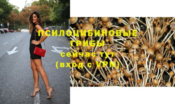 дурь Горняк