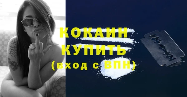 дурь Горняк