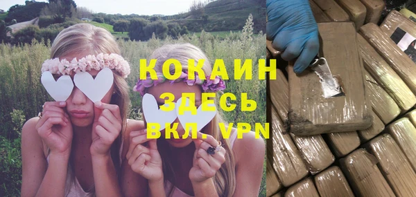 дурь Горняк