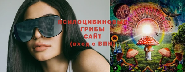 дурь Горняк