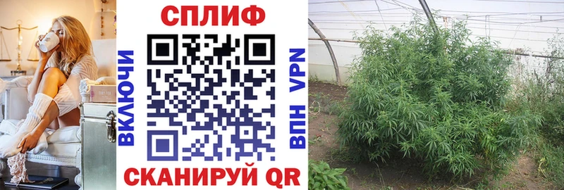 Каннабис Bruce Banner Чусовой